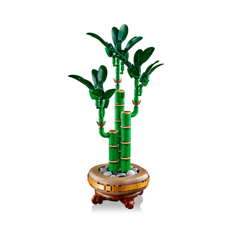 LEGO 10344 BOTANICALS BAMBÙ DEL BUON AUSPICIO