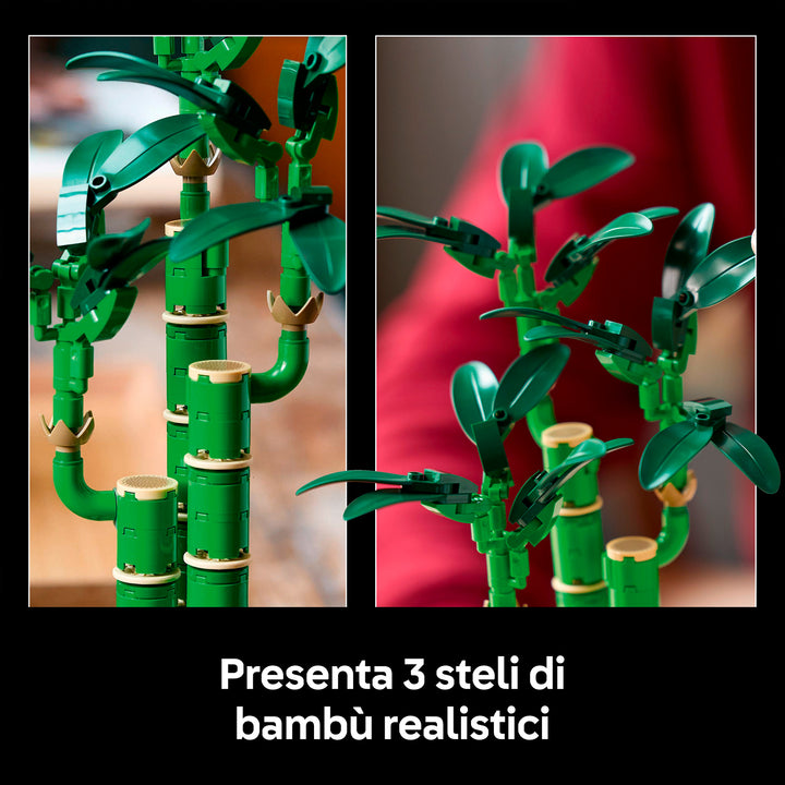 LEGO 10344 BAMBÙ DEL BUON AUSPICIO