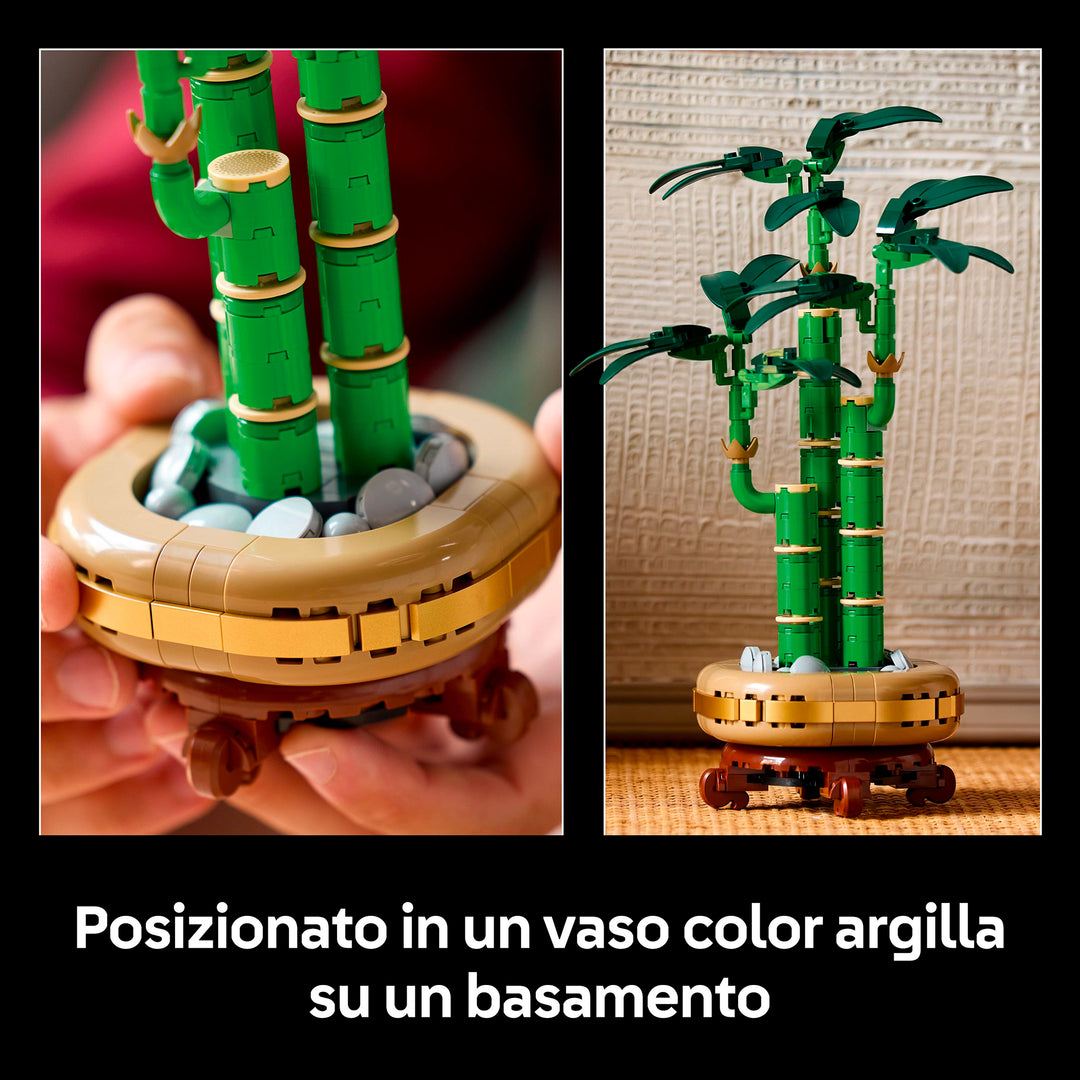 LEGO 10344 BAMBÙ DEL BUON AUSPICIO