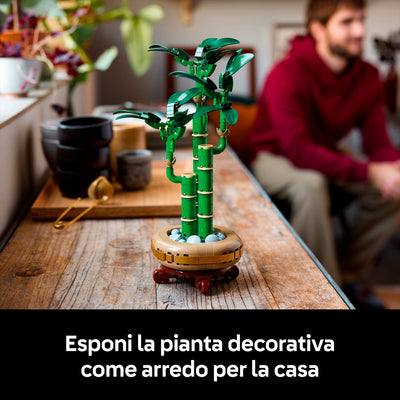 LEGO 10344 BOTANICALS BAMBÙ DEL BUON AUSPICIO