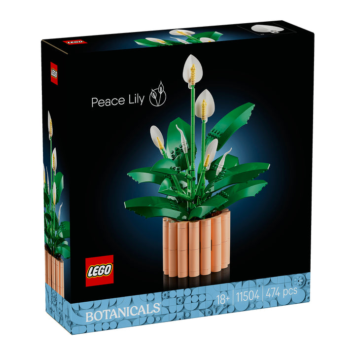 LEGO 11504 SPATIFILLO