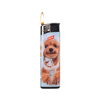 PROF 40804710 ACCENDINO POODLES FIXED SOFTFLAME