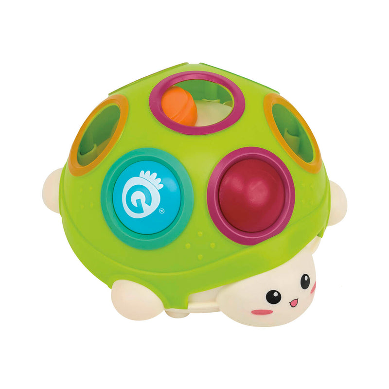 TARTARUGHINA PRIMA INFANZIA