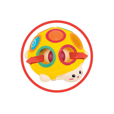 TARTARUGHINA PRIMA INFANZIA