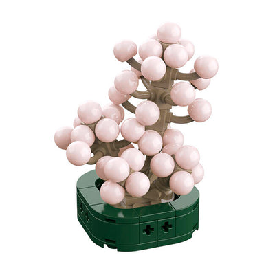 CUBIX COSTRUZIONI PIANTE GRASSE