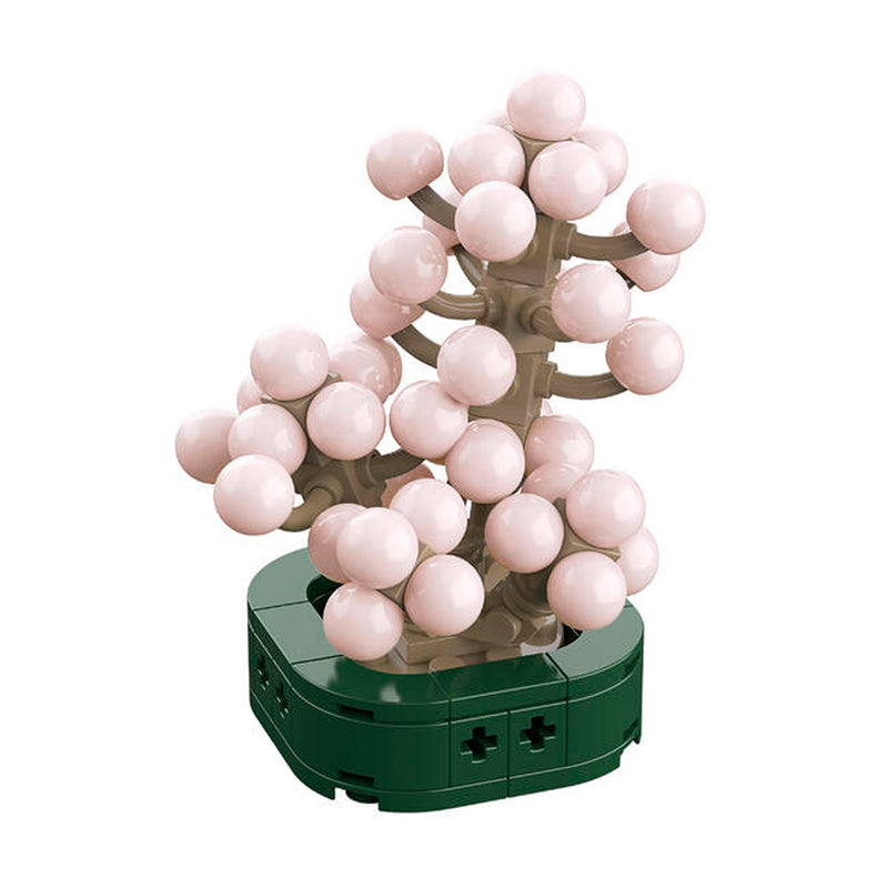 CUBIX COSTRUZIONI PIANTE GRASSE