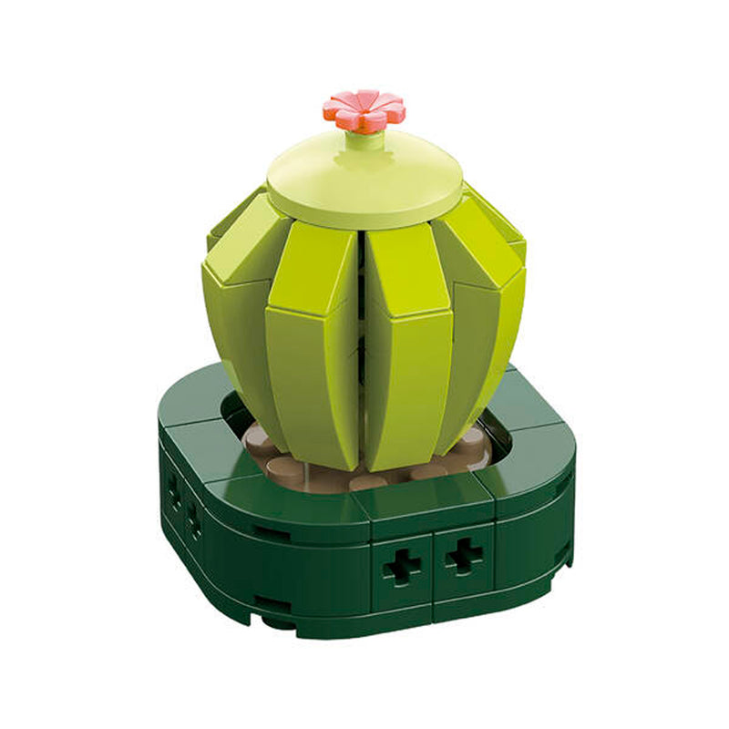 CUBIX COSTRUZIONI PIANTE GRASSE