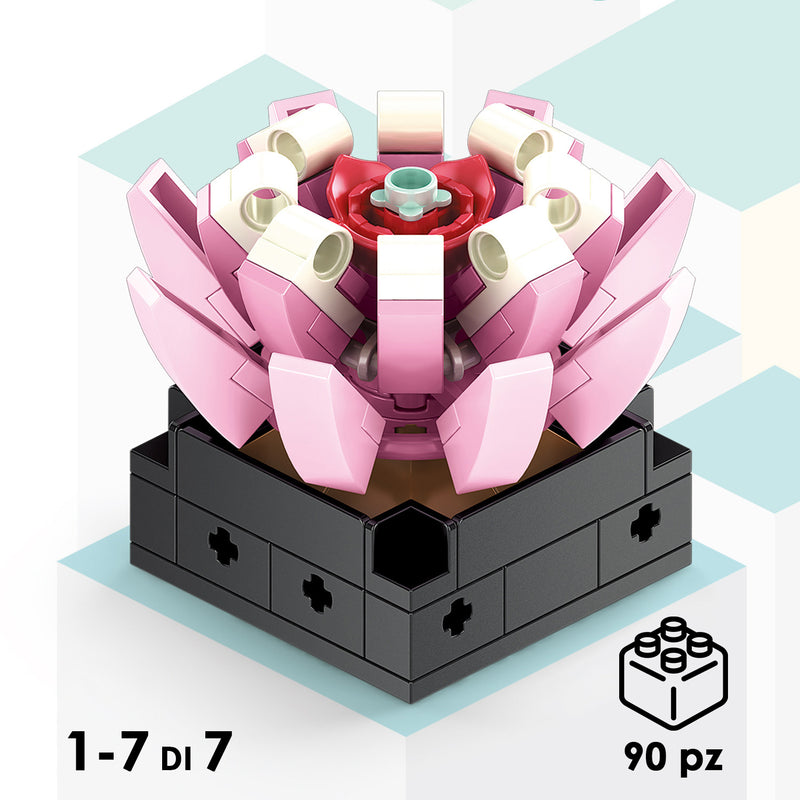 CUBIX COSTRUZIONI PIANTE GRASSE CON VASO