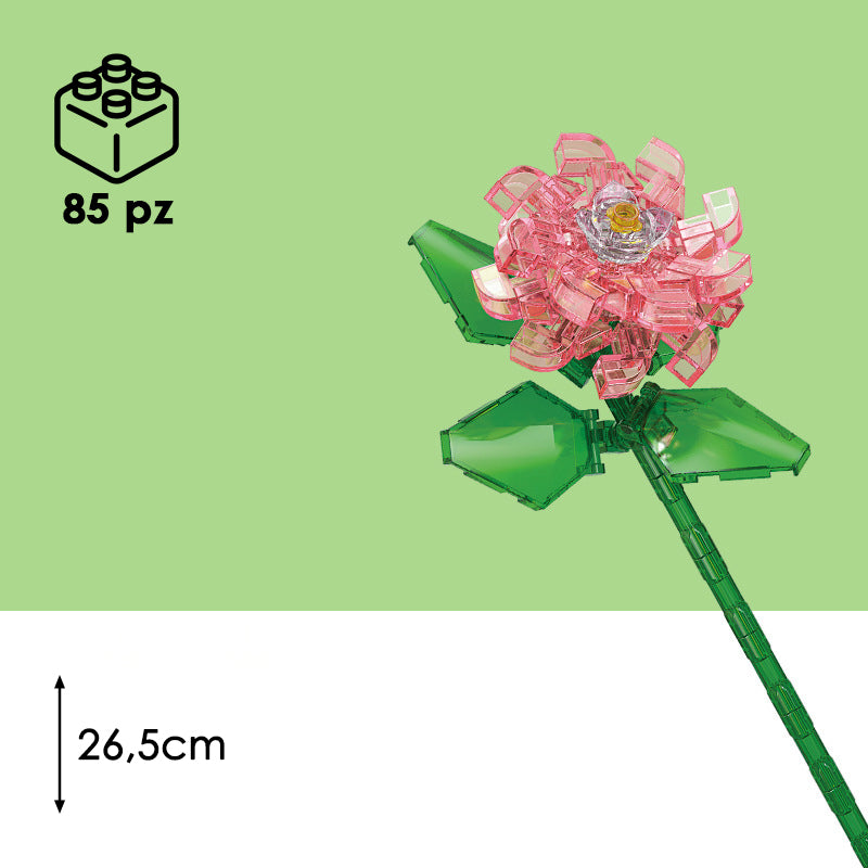 CUBIX COSTRUZIONI FIORI TRASPARENTI