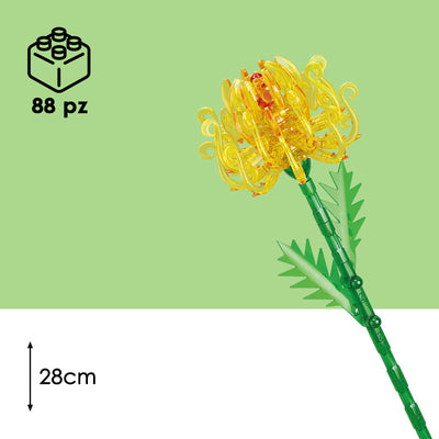 CUBIX COSTRUZIONI FIORI TRASPARENTI
