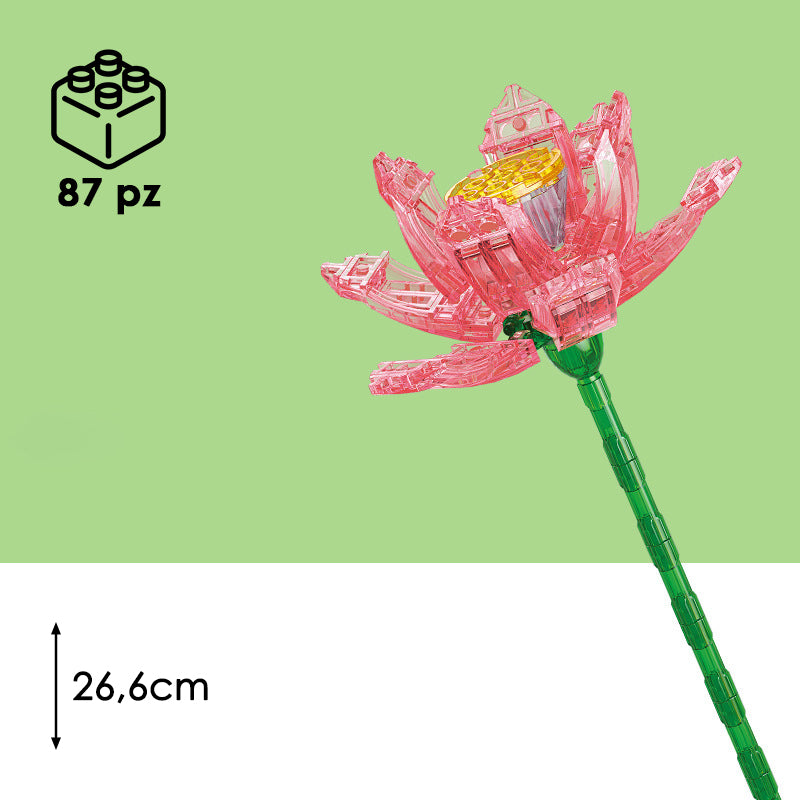 CUBIX COSTRUZIONI FIORI TRASPARENTI