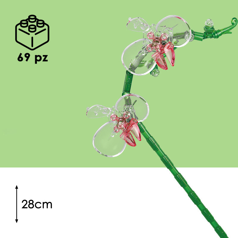 CUBIX COSTRUZIONI FIORI TRASPARENTI