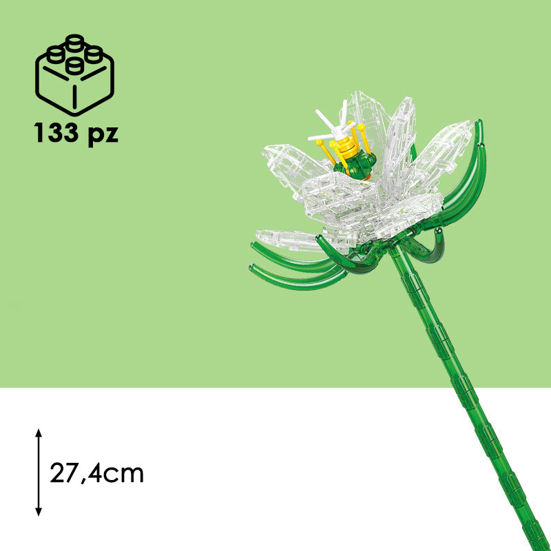 CUBIX COSTRUZIONI FIORI TRASPARENTI
