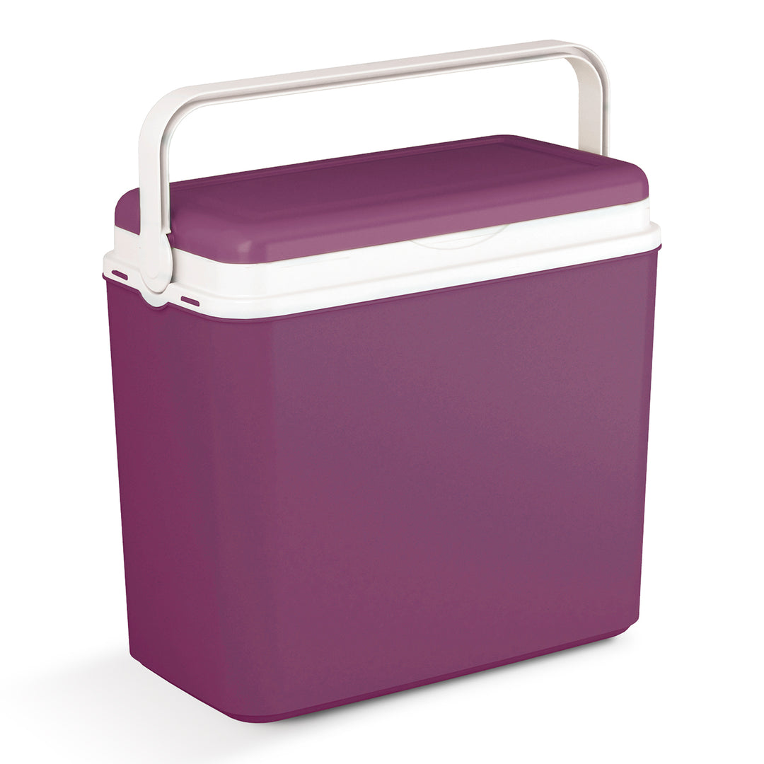 Frigo Portatile 6 Litri Beach - Plastica Antigraffio, Borsa Termica Per Spiaggia E Escursioni - Foto 3