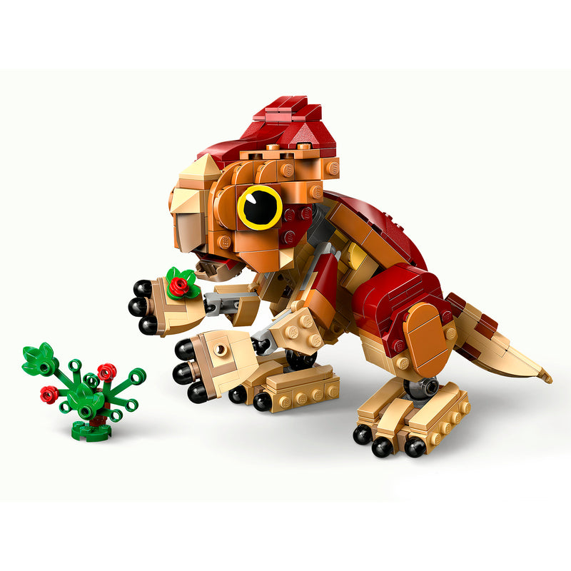 LEGO 76970 DINOSAURO CUCCIOLO DOLORES: AQUILOPS