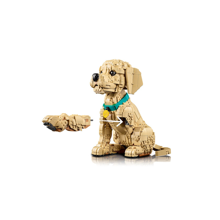 LEGO 11384 CUCCIOLO DI GOLDEN RETRIEVER