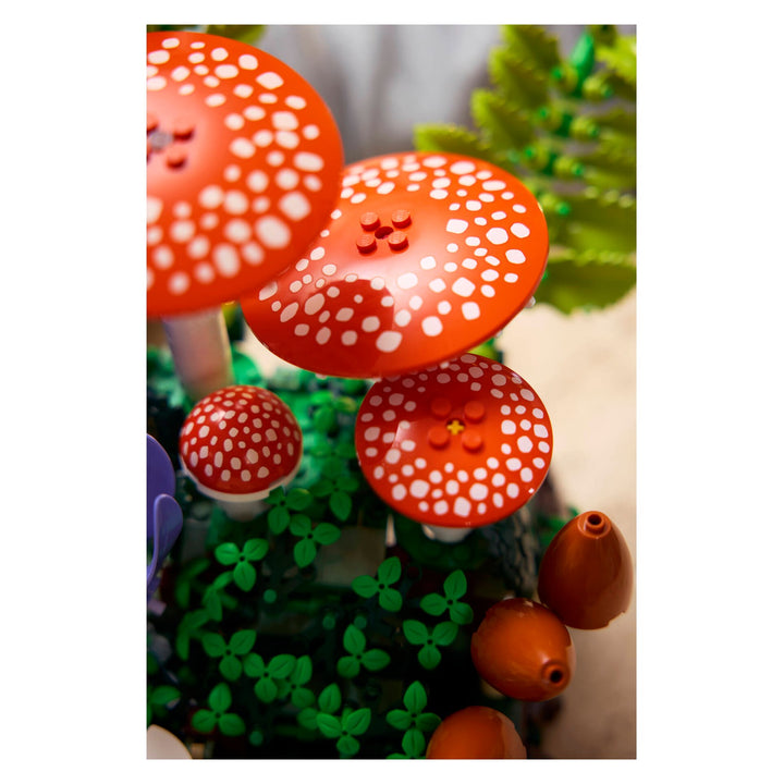 LEGO 11505 FUNGHI DEL BOSCO