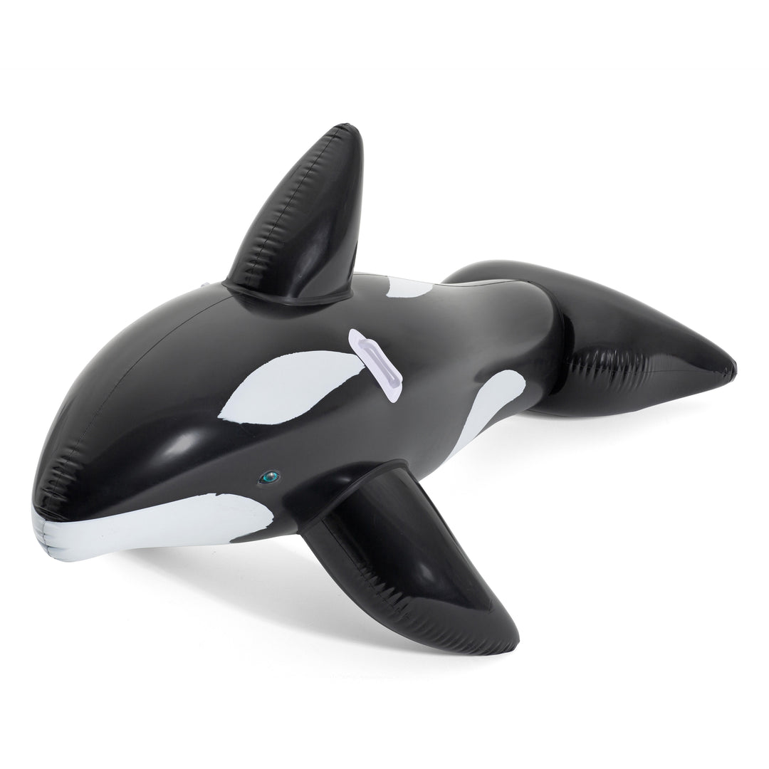 BW41009 CAVALCABILE ORCA 203X102CM