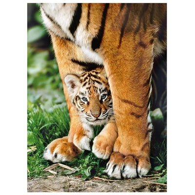 PUZZLE BENGAL TIGER CUB - 500 PEZZI