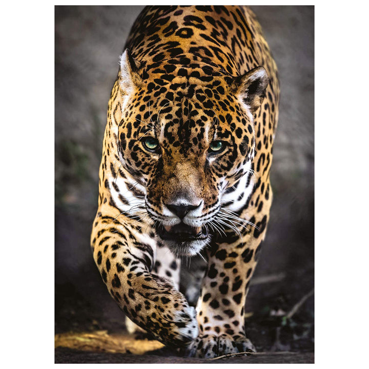 PUZZLE HQC 1000 PEZZI WALK OF THE JAGUAR