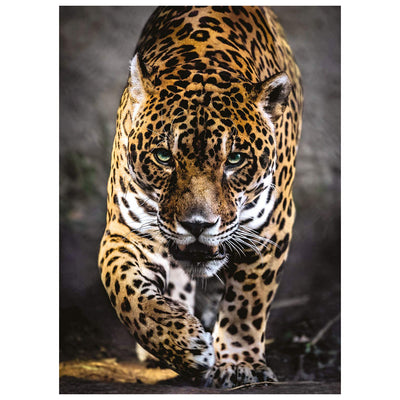 PUZZLE WALK OF THE JAGUAR - 1000 PEZZI