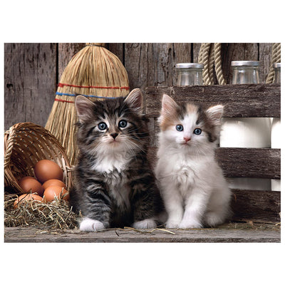 PUZZLE HQC 1000 PEZZI LOVELY KITTENS