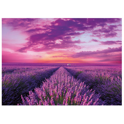 PUZZLE LAVANDER FIELD - 1000 PEZZI