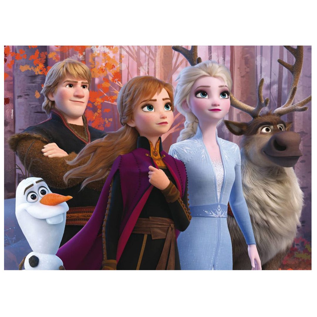 PUZZLE DOUBLE-FACE MAXI FLOOR 24 PEZZI - FROZEN