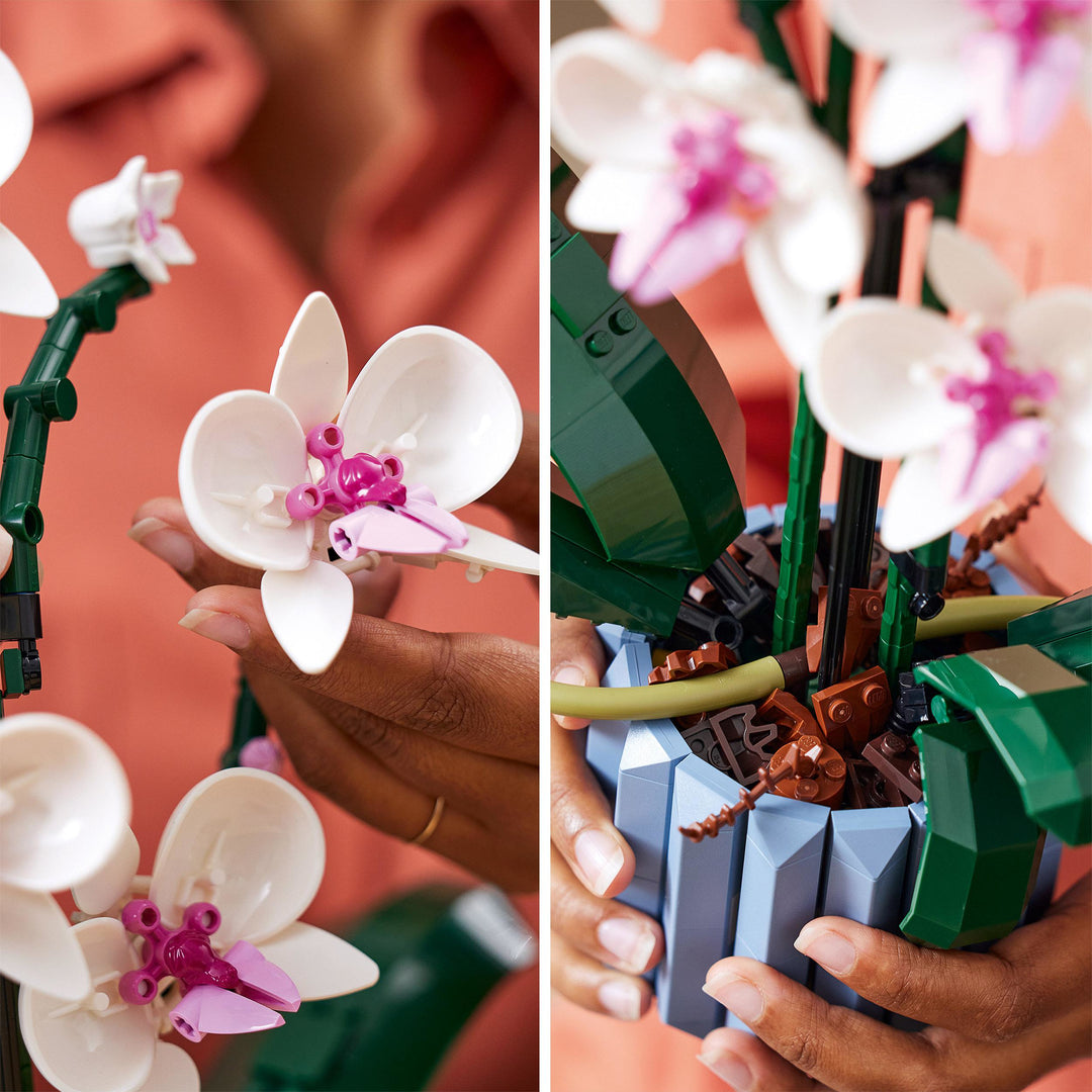 LEGO 10311 ORCHIDEA