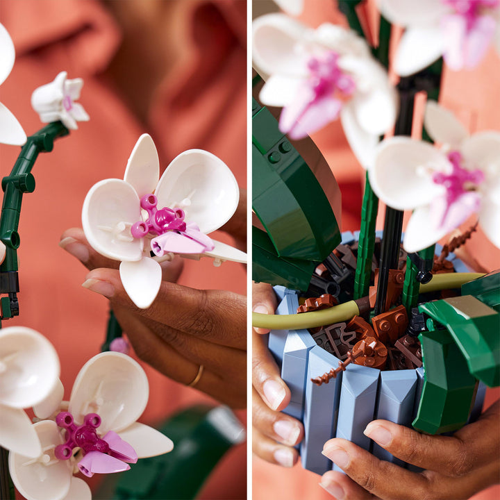 LEGO 10311 ORCHIDEA