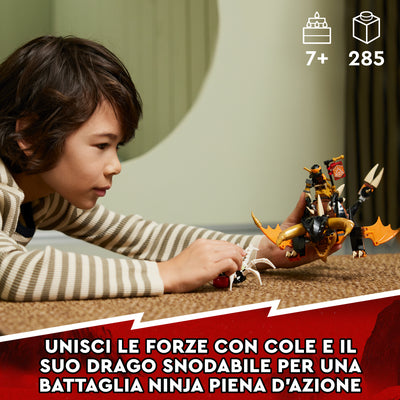 LEGO 71782 NINJAGO DRAGO DI TERRA DI COLE -  EVOLUTION